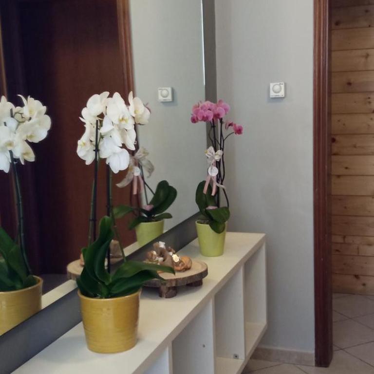 APPARTAMENTO GRAZIOSO LECCE. - Apartamento con 4 dormitorios - 1