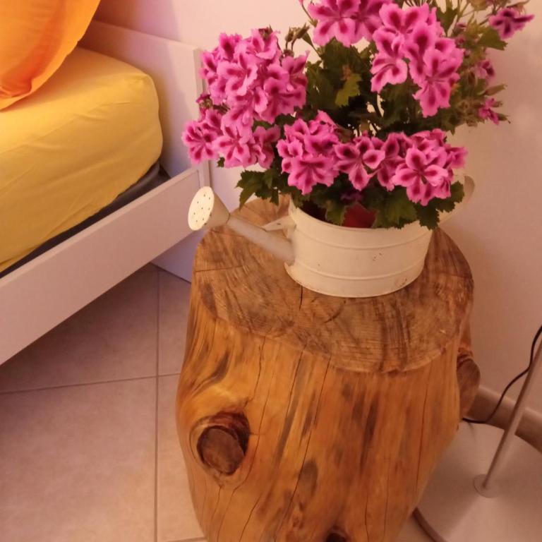 APPARTAMENTO GRAZIOSO LECCE. - Apartamento con 4 dormitorios - 5