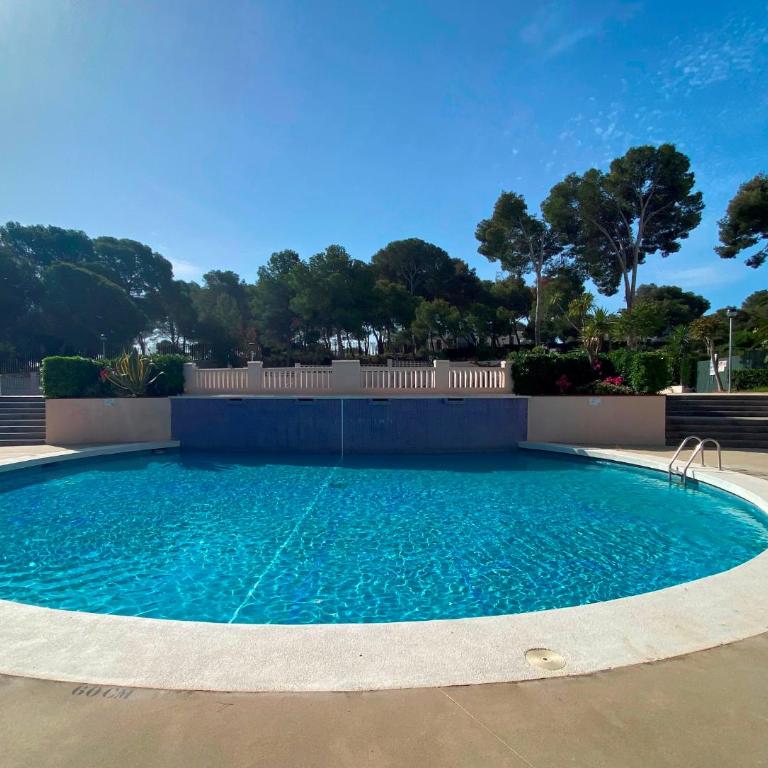 Apartamentos Cataluña Palmyra - Apartamento de 1 dormitorio - 6