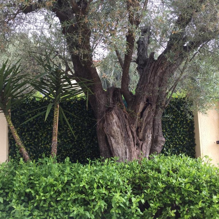 Villa L'Adret et sa piscine - Villa 3 Chambres - 19