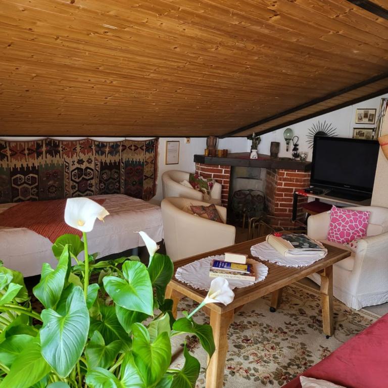 Atelier Greyer - Apartment mit 1 Schlafzimmer - 7
