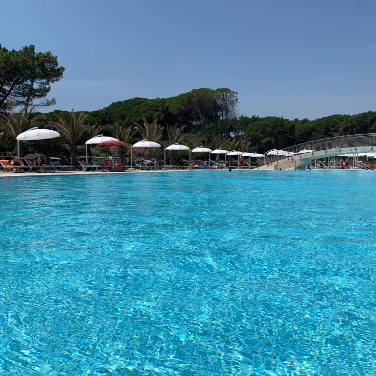 Penthouse Bellavista - Appartamento - 48