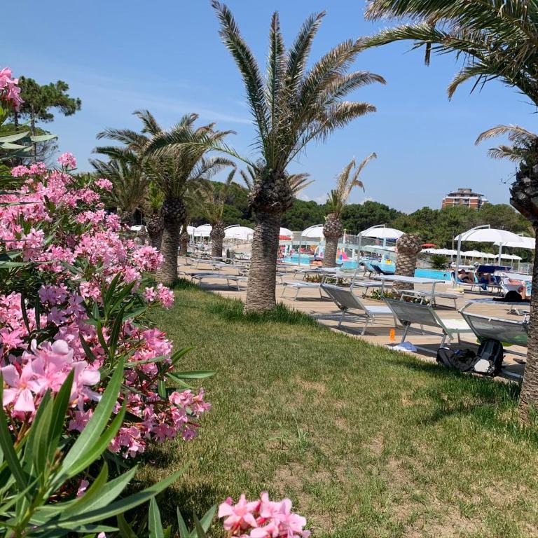 Penthouse Bellavista - Appartamento - 51