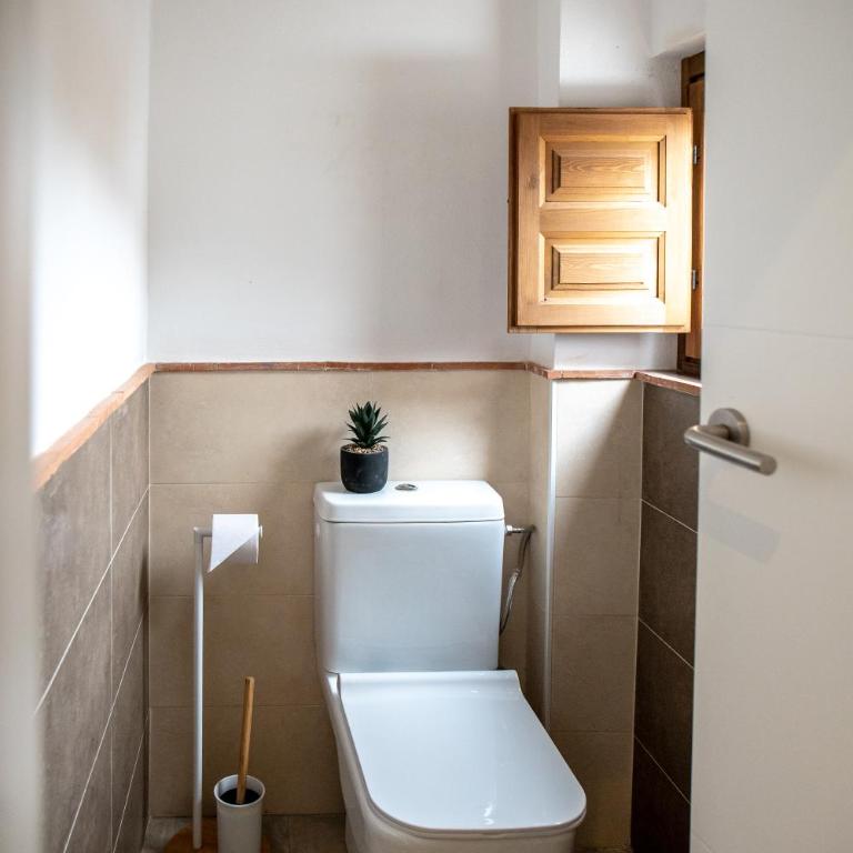 Casa Po - Double or Twin Room with Terrace - 13