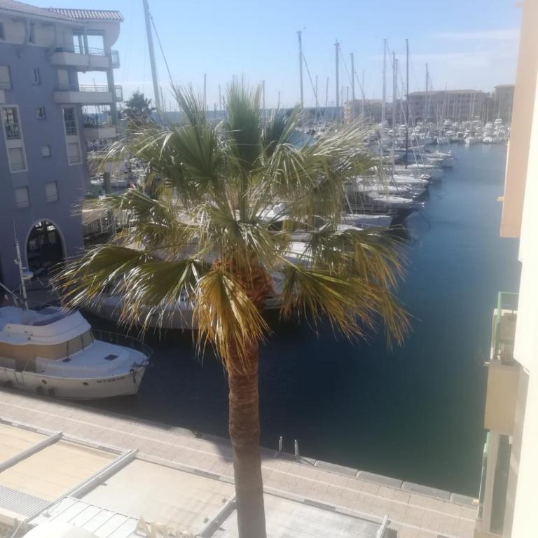 hippocampe f2 - Appartement 1 Chambre - 2