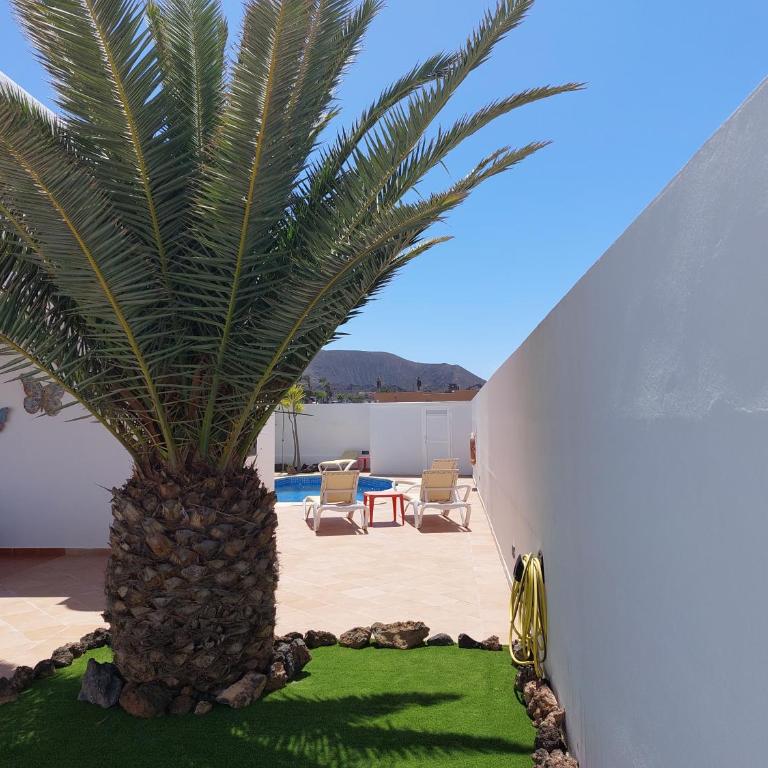 Villa Real Oliva - Villa con piscina privada - 25