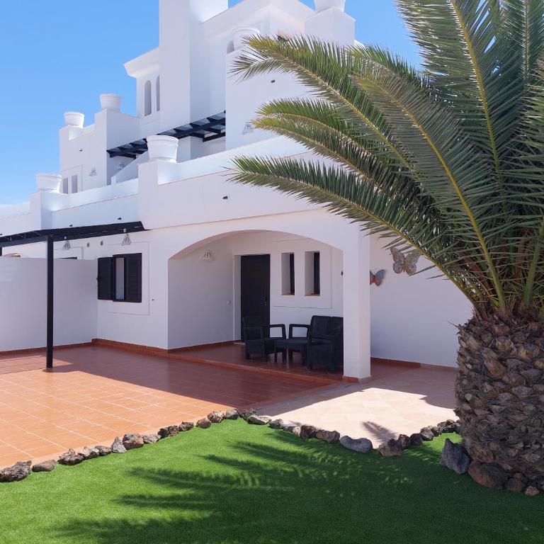 Villa Real Oliva - Villa con piscina privada - 9