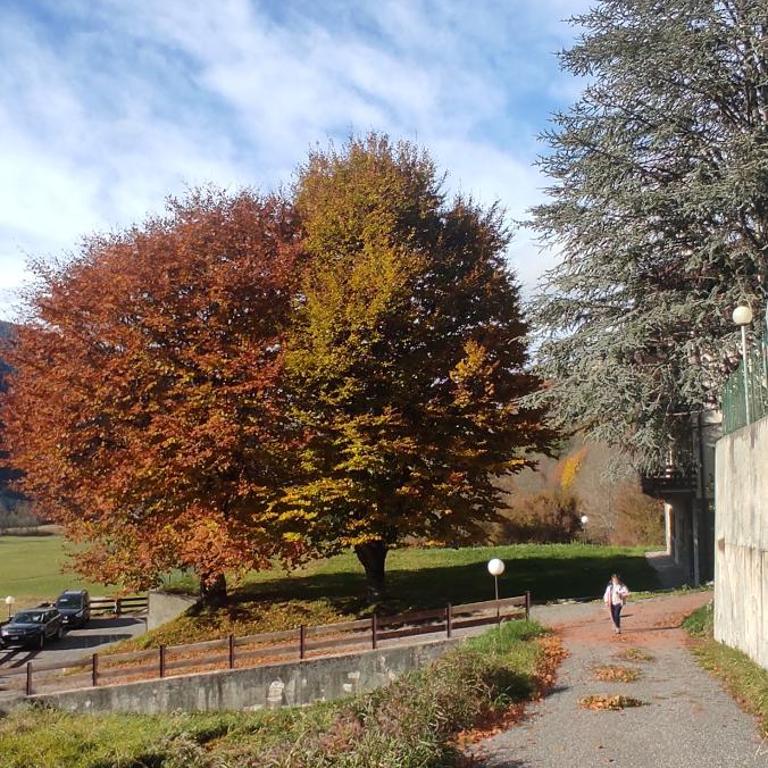 Grande casa di famiglia - Appartamento con 2 Camere da Letto - 25