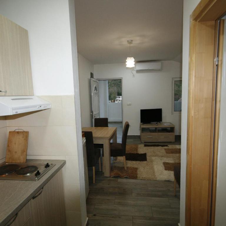 Apartmani Srdanovic - Apartman sa 1 Spavaćom Sobom - 2