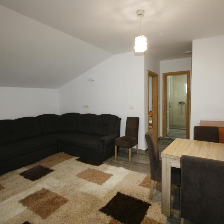 Apartmani Srdanovic - Apartman sa 1 Spavaćom Sobom - 10