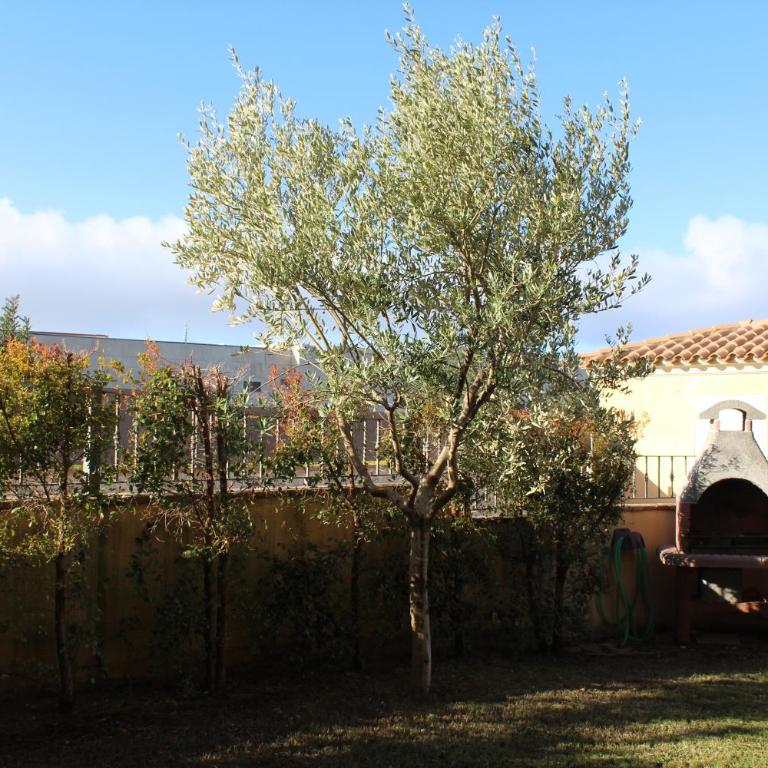 Residenza Hermione - Three-Bedroom House - 16