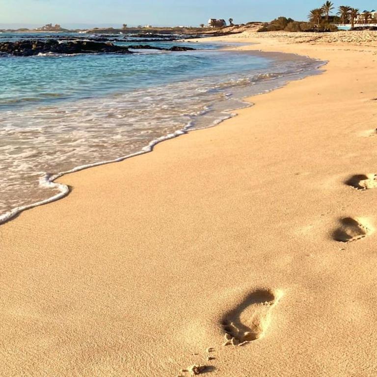 Apartamento El Islote direct at Paradise Beach - One-Bedroom Apartment - 47
