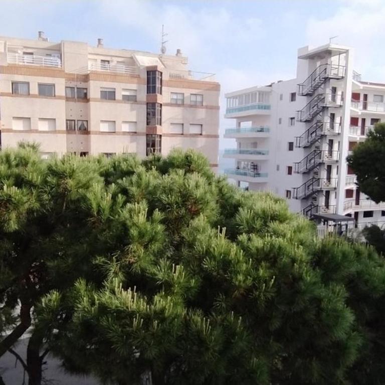 Apartamento turístico playa Capellans, Salou. WIFI - Apartamento de 2 dormitorios - 19