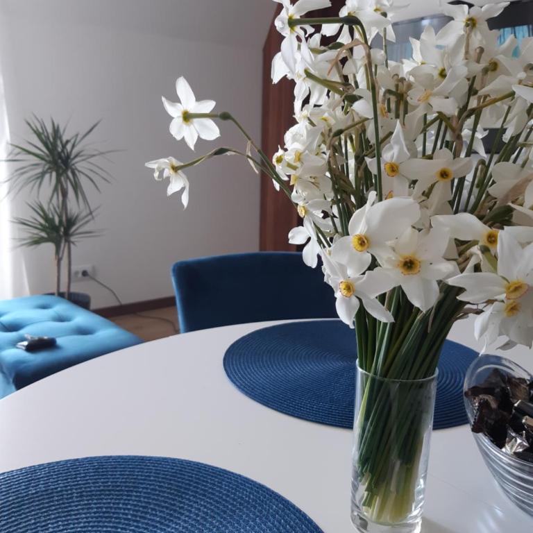 Apartman Borovi 18 - Apartman sa 1 Spavaćom Sobom - 1