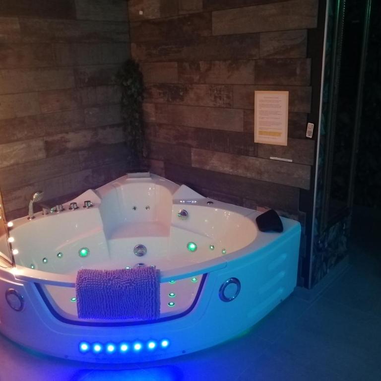 Romantisme et glamour 2 avec spa , clim et jardin - Appartamento con 1 Camera da Letto - 9