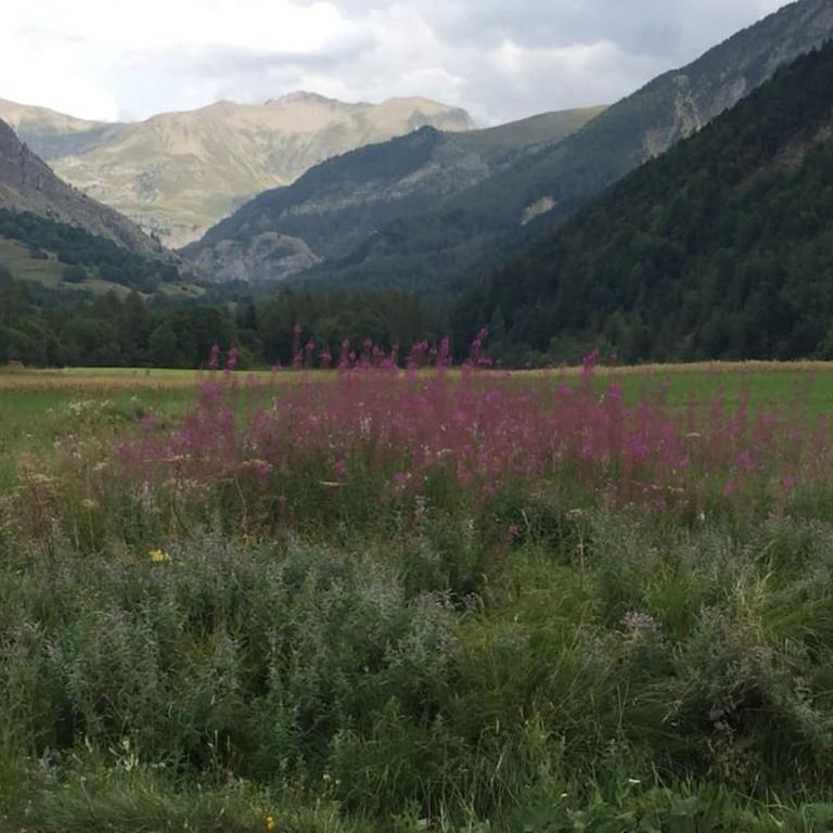 Appart très ensoleillé 5-6 pers au pied des pistes - Apartamento de 1 dormitorio - 3