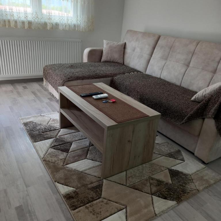 Apartman Vasilije Banja Koviljaca - Apartman sa 1 Spavaćom Sobom - 1