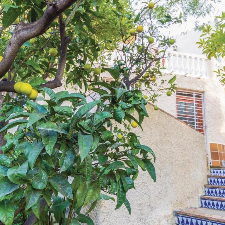 3 Bedroom Beautiful Home In Almuñecar - Casa Vacacional de 3 dormitorios - 9