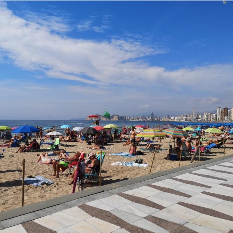 Solymar CostaBlanca - Apartamento de 1 dormitorio - 12