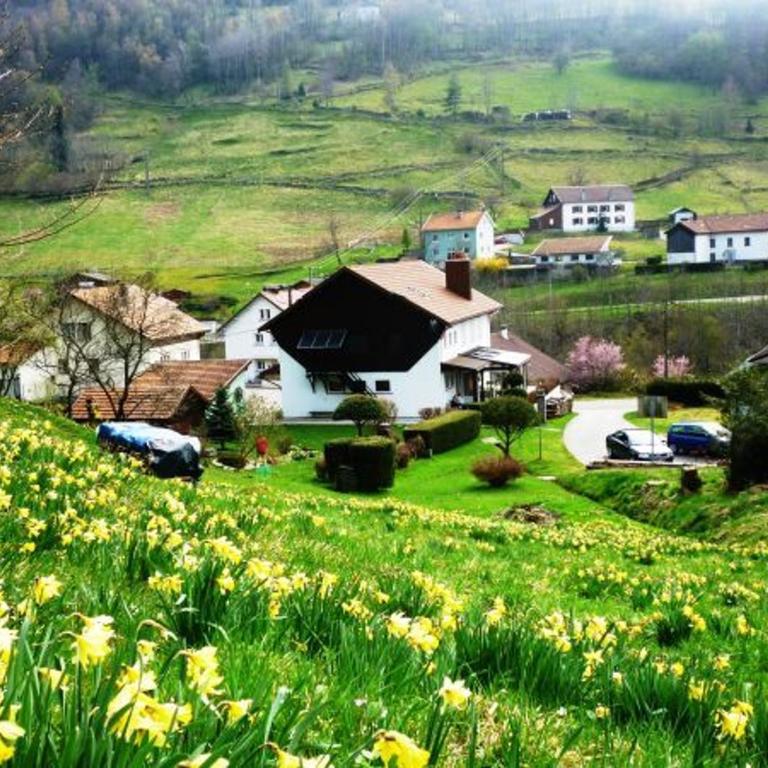 Gîte confortable à La Bresse, proche centre-ville, nature et activités - FR-1-589-97 - Maison de Vacances (4 Adultes) - 6