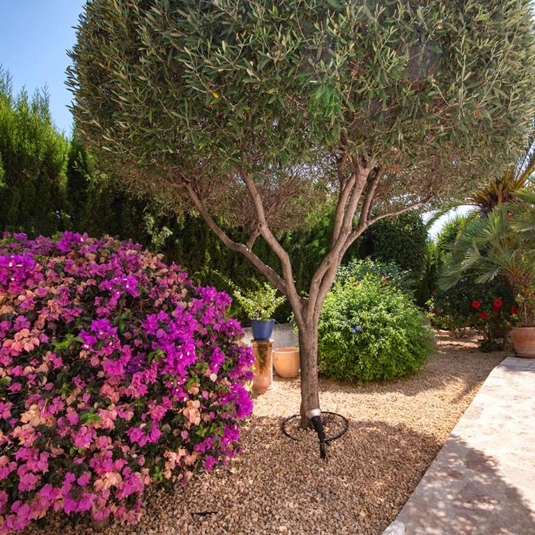 Villa Lagarta by Holiday Rentals Villamar - Villa - 46