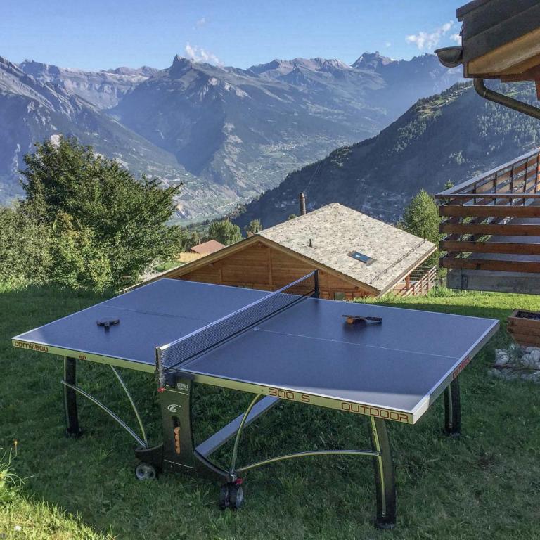 Chalet le Fauconnier - Chalet - 22
