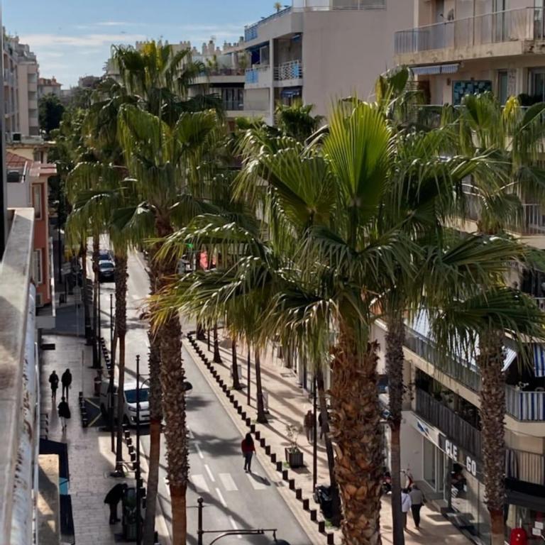 Deux pièces spacieux Place de Gaulle centre-ville d'Antibes avec extérieur - Appartement - 12