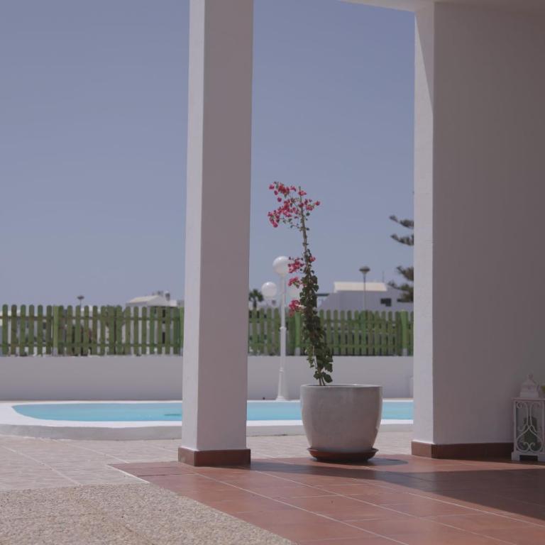 Apartamentos Flamboyant Adults Only - Apartamento de 1 dormitorio con patio - 45