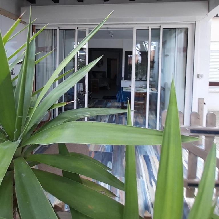 T2bis Les YUCCAS 200 m plage du Boucanet Rive Droite Grau du Roi idéal 2-4 pers 3 étoiles Résidence Camargue Village - Apartment mit Dusche - 3