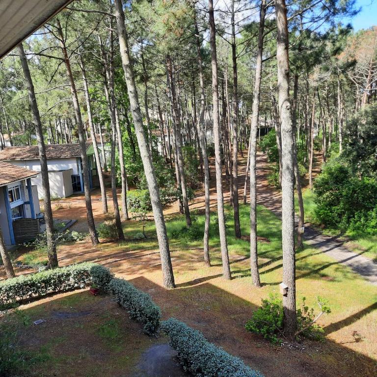 Lacanau-Océan T3 terrasse 50m2 au sein d'un complexe touristique - Apartment mit 2 Schlafzimmern - 20