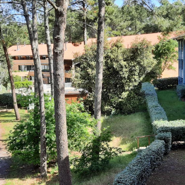 Lacanau-Océan T3 terrasse 50m2 au sein d'un complexe touristique - Apartment mit 2 Schlafzimmern - 21