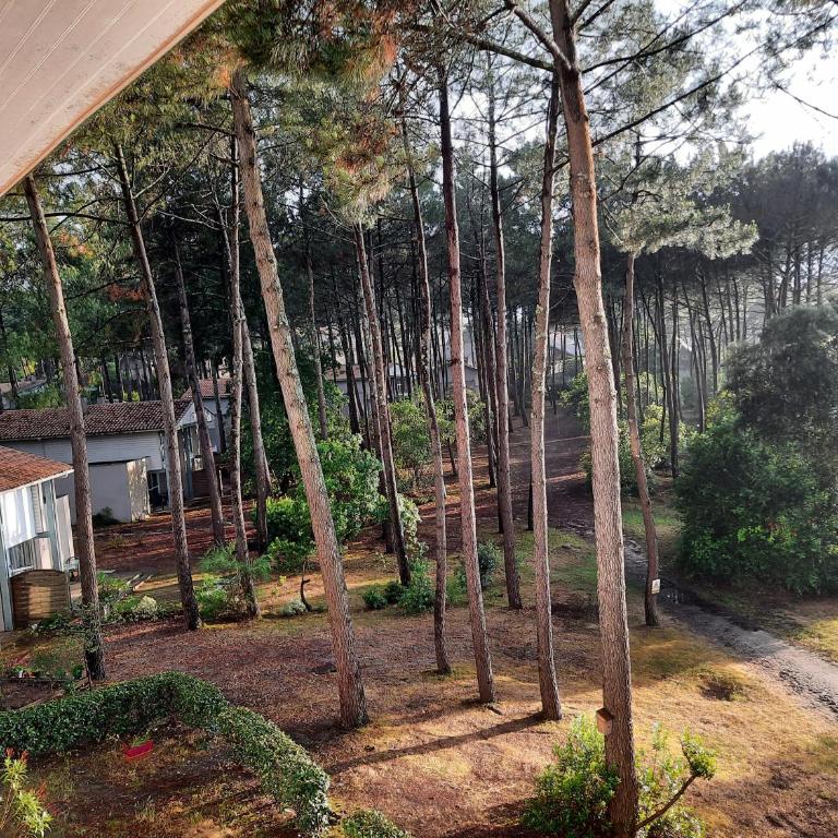 Lacanau-Océan T3 terrasse 50m2 au sein d'un complexe touristique - Apartment mit 2 Schlafzimmern - 11