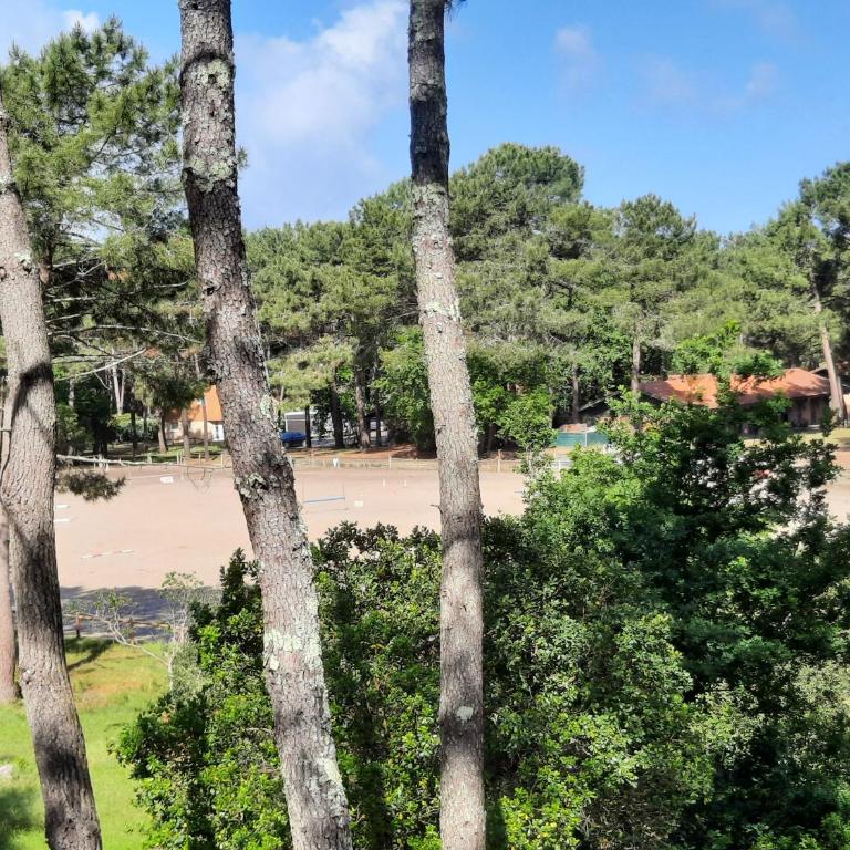 Lacanau-Océan T3 terrasse 50m2 au sein d'un complexe touristique - Apartment mit 2 Schlafzimmern - 12