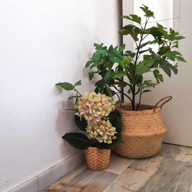 Sunny Balcony Alfalfa - Lovely Center Apartments Seville - Apartamento con balcón - 17