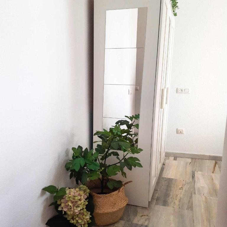 Sunny Balcony Alfalfa - Lovely Center Apartments Seville - Apartamento con balcón - 31