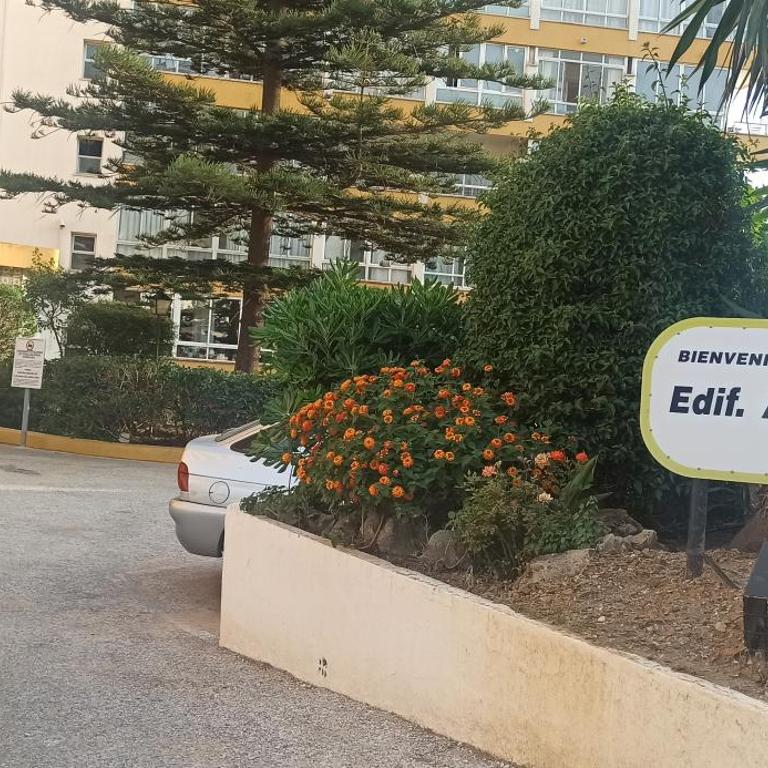 Apartamento entre montaña y playa - Apartamento - 32