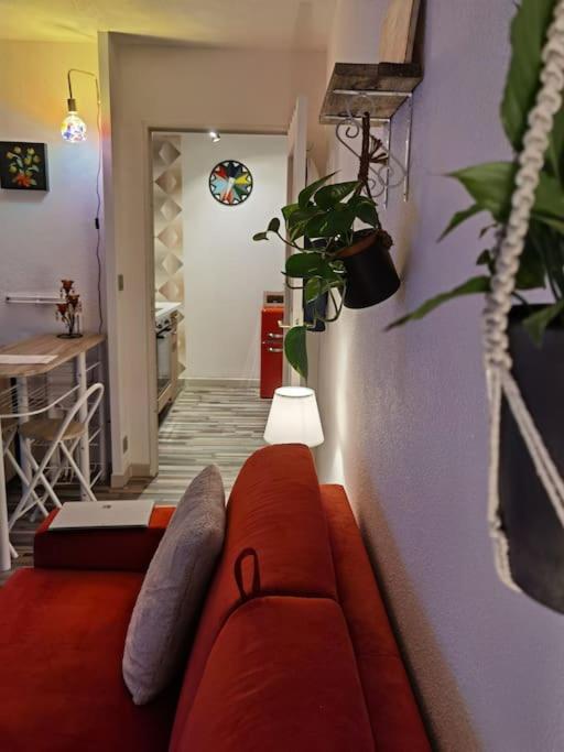 Cosy T1bis proche CentreVille, Petit Port, Audencia - Apartment mit 1 Schlafzimmer - 20