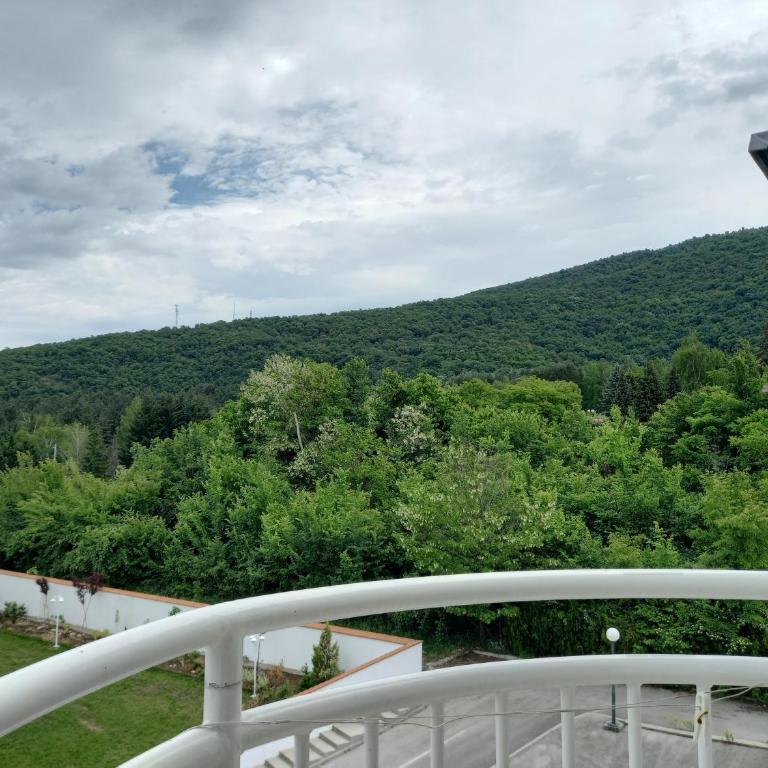 Smeštaj Voli - Borići studio-apartman, Sokobanja - One-Bedroom Apartment - 2