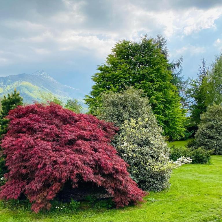 Villa Giulia - Marguareis - Appartement avec Vue sur la Montagne - 36