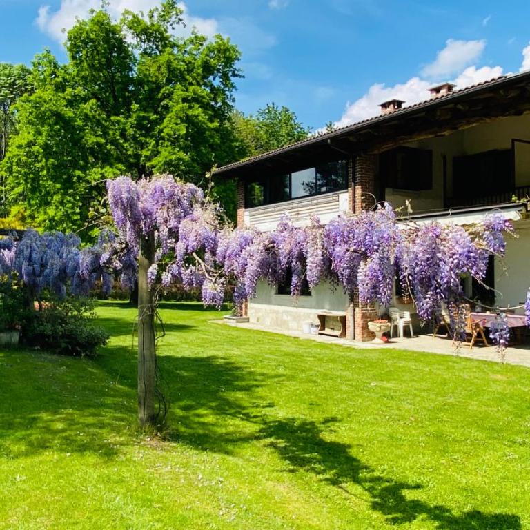 Villa Giulia - Marguareis - Appartement avec Vue sur la Montagne - 44