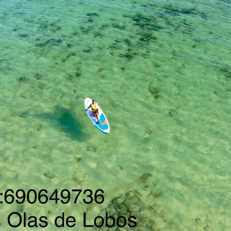 Luna de Lobos - Apartamento con vistas a la piscina - 55