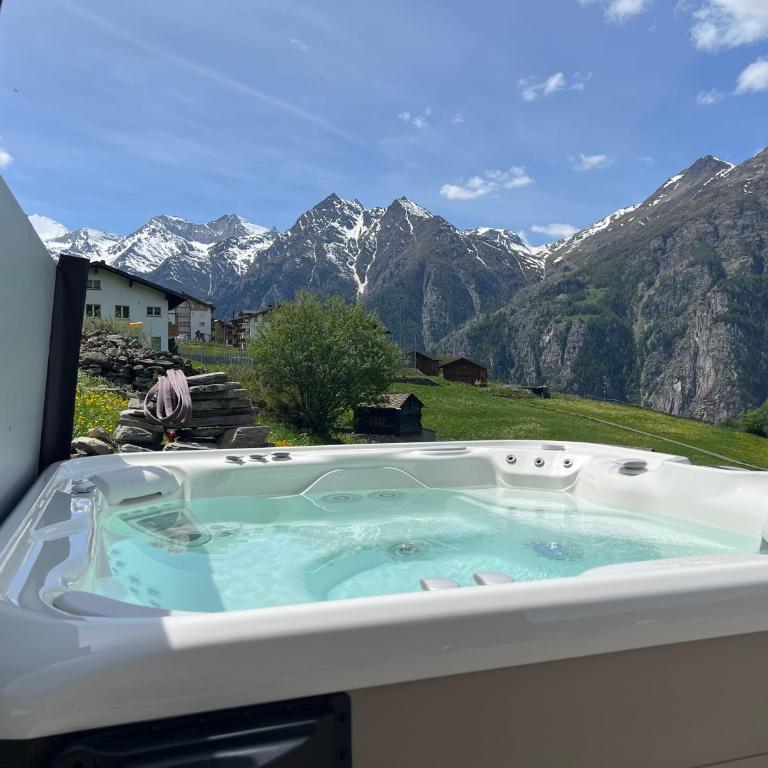 Schwarzhornblick - Appartamento con 1 Camera da Letto - 25