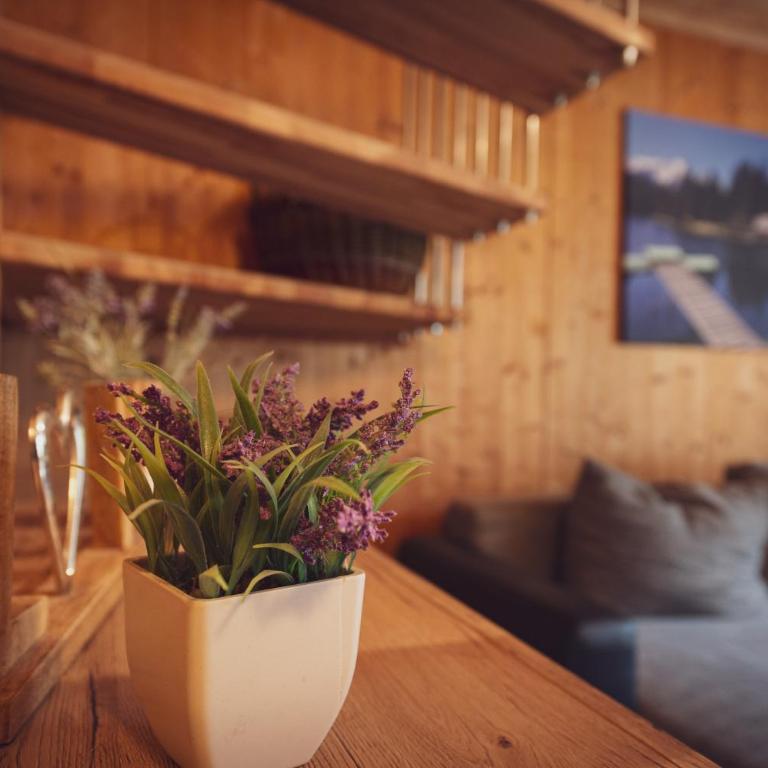Ein Ort für Drei - Ferienhaus - 3