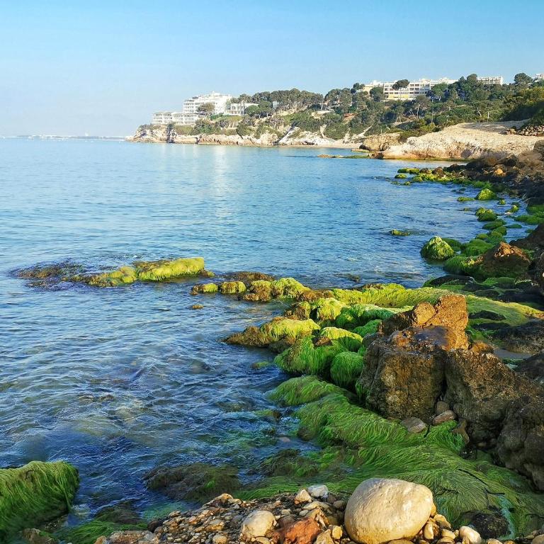 Apartamento con vistas al mar - Apartamento de 2 dormitorios - 26