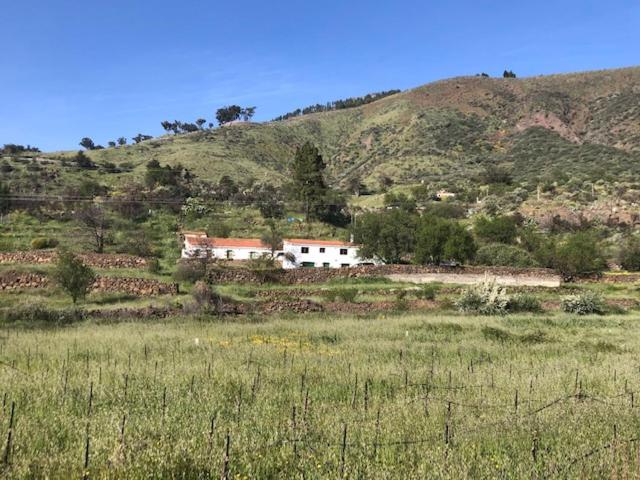 Casa-Finca El Maipéz de Tejeda - Casa con 1 dormitorio - 20