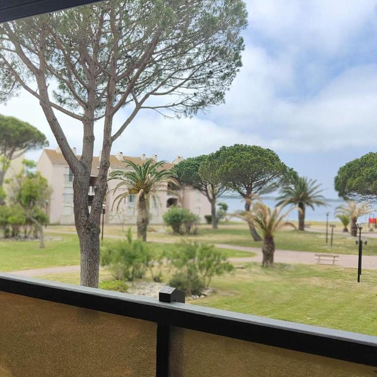 Appartement 2 pièces avec piscine, sports et fitness - Le Barcarès - FR-1-195-90 - Apartment - 5