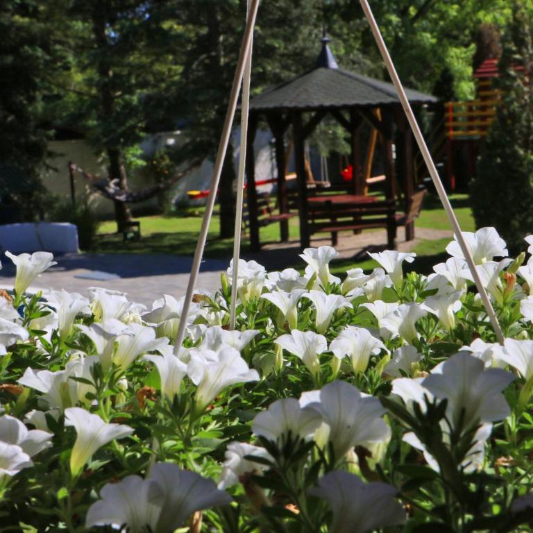 Šumski raj - Three-Bedroom Villa - 50