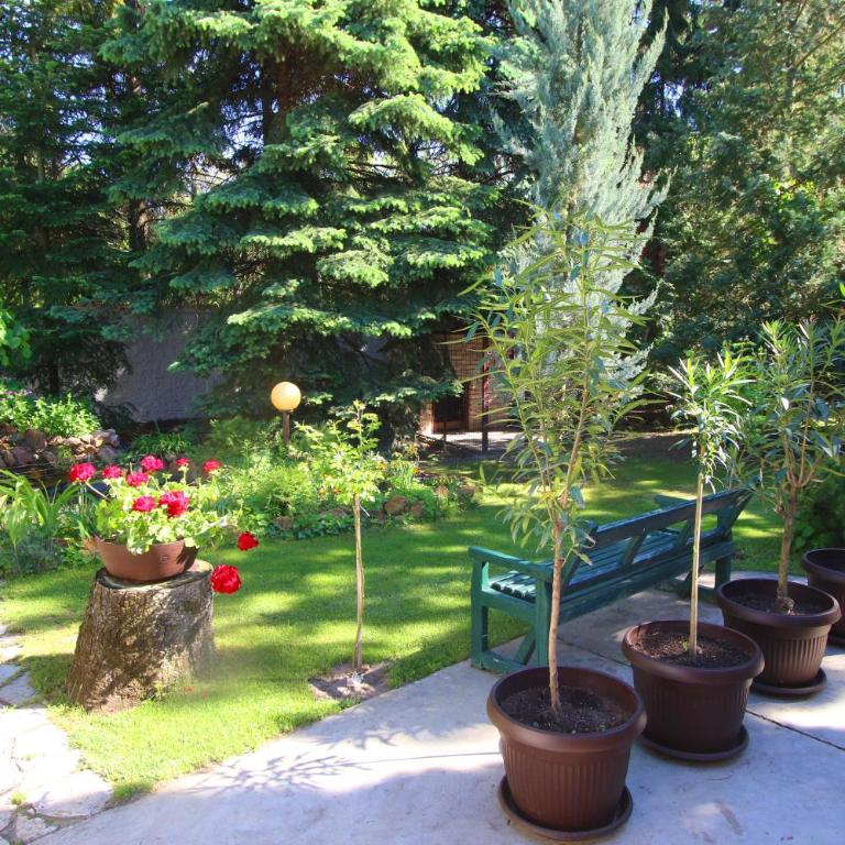 Šumski raj - Three-Bedroom Villa - 62