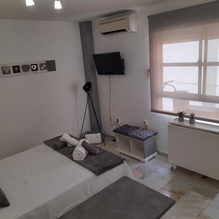 New Central Studio and Parking Zamarrilla - Apartamento de 1 dormitorio - 6