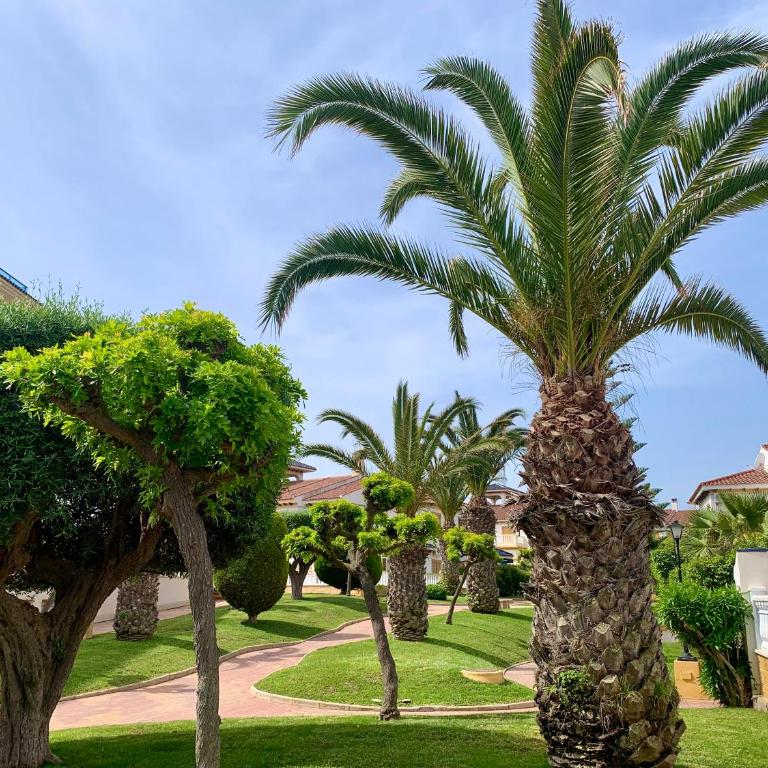 La MATA TULIP - Apartamento de 1 dormitorio - 3